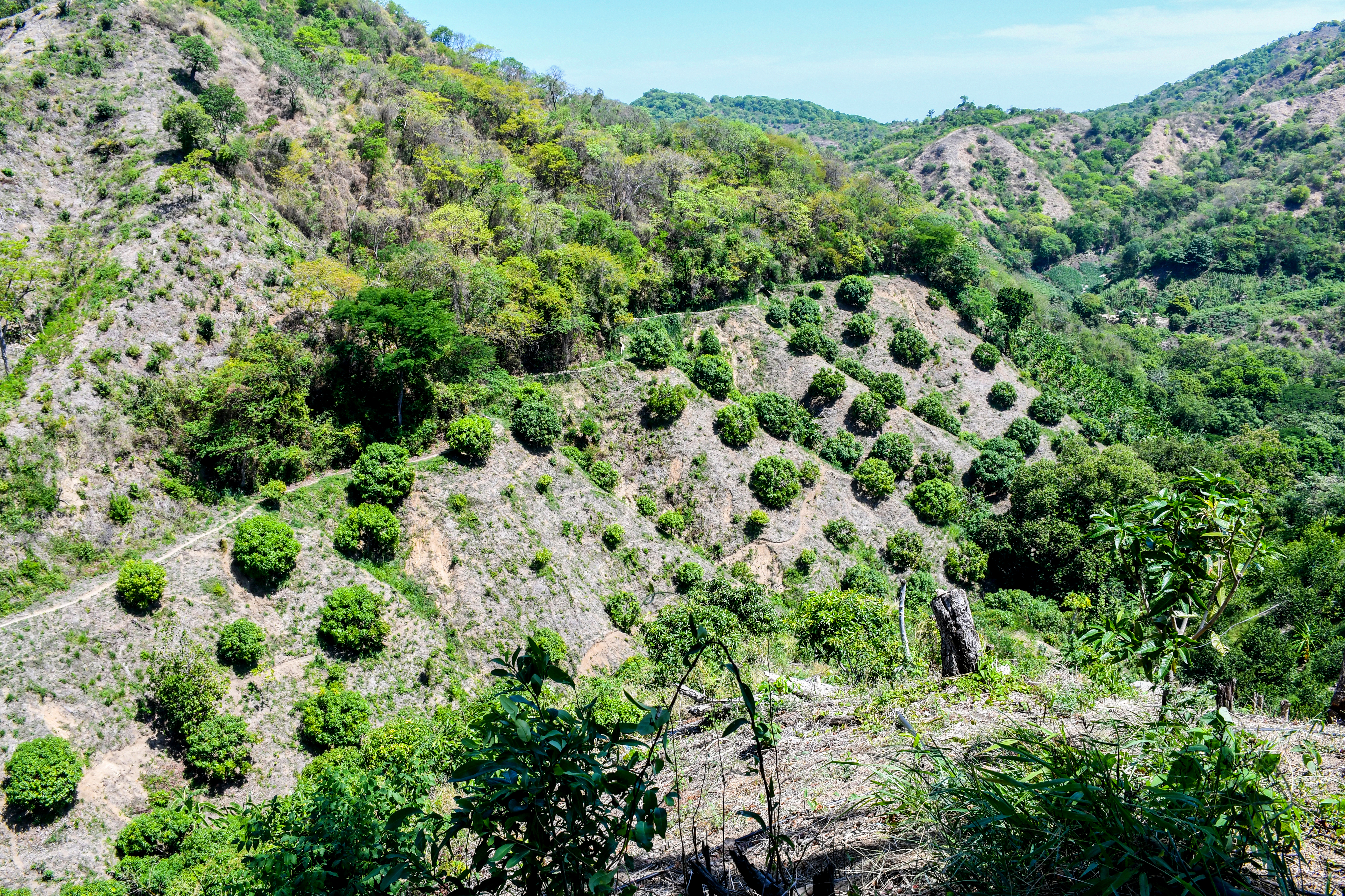 escala-de-mejora